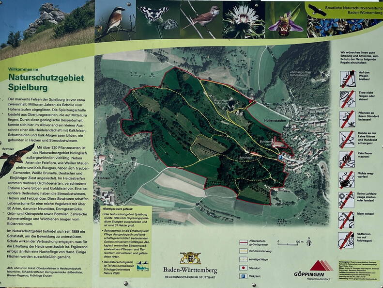 25-03-21 12-10-47 2476